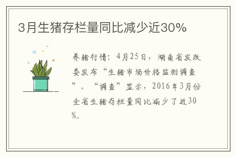 3月生猪存栏量同比减少近30%