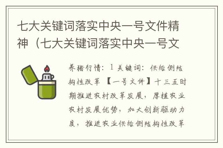 七大关键词落实中央一号文件精神（七大关键词落实中央一号文件精神的意义）