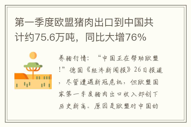 第一季度欧盟猪肉出口到中国共计约75.6万吨，同比大增76％