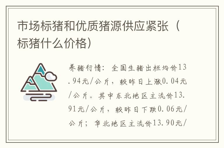 市场标猪和优质猪源供应紧张（标猪什么价格）