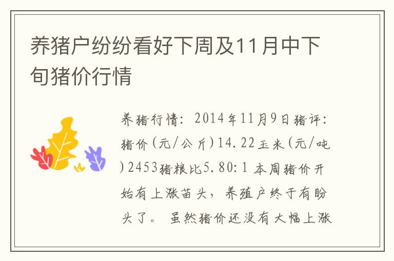 养猪户纷纷看好下周及11月中下旬猪价行情