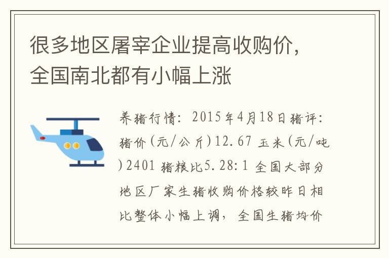 很多地区屠宰企业提高收购价，全国南北都有小幅上涨