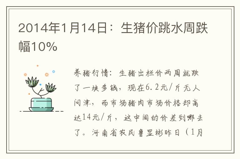 2014年1月14日：生猪价跳水周跌幅10%