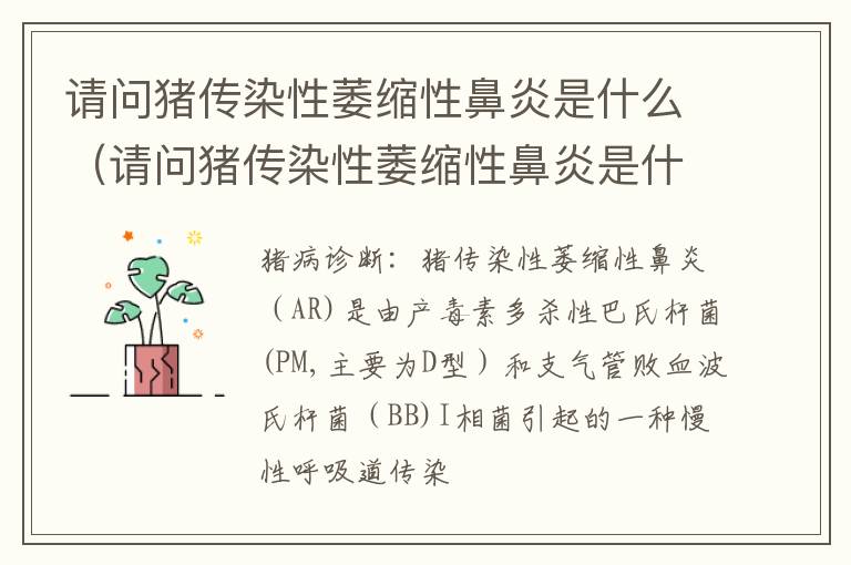 请问猪传染性萎缩性鼻炎是什么（请问猪传染性萎缩性鼻炎是什么病）