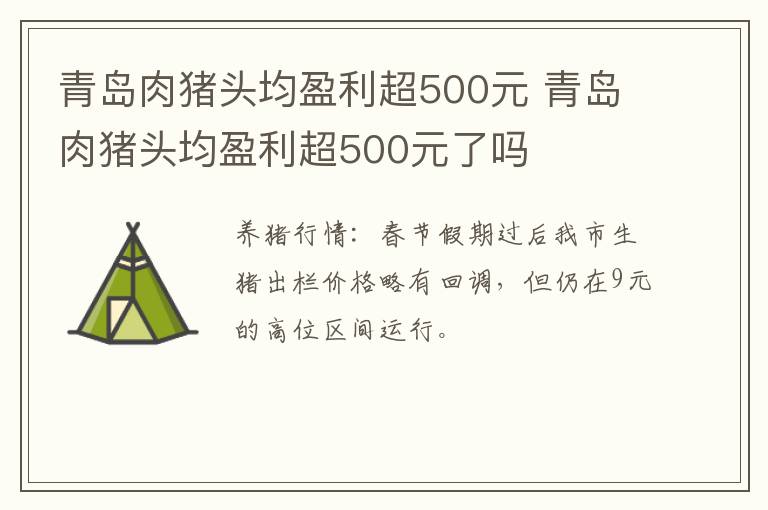 青岛肉猪头均盈利超500元 青岛肉猪头均盈利超500元了吗