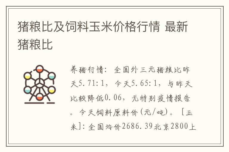 猪粮比及饲料玉米价格行情 最新猪粮比