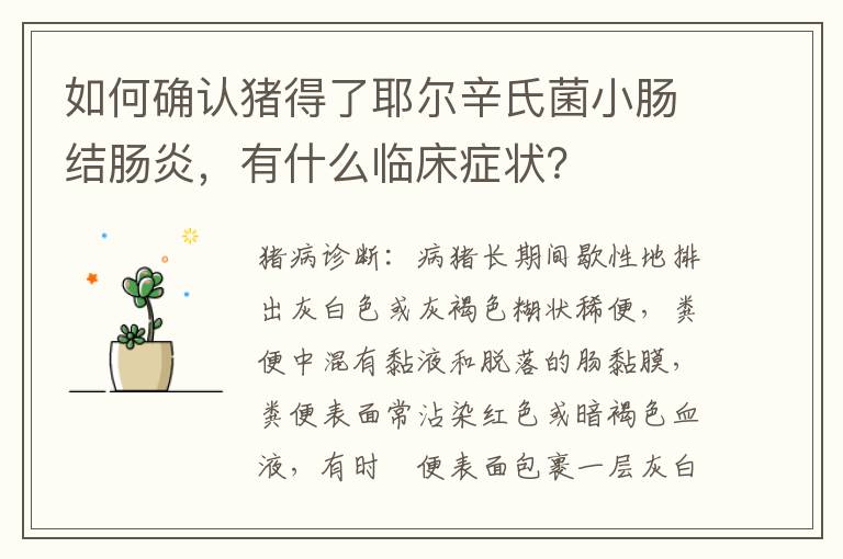 如何确认猪得了耶尔辛氏菌小肠结肠炎，有什么临床症状？