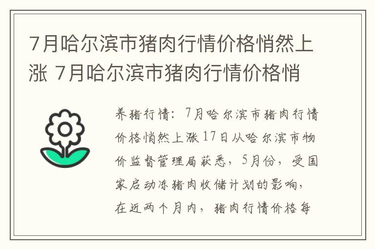 7月哈尔滨市猪肉行情价格悄然上涨 7月哈尔滨市猪肉行情价格悄然上涨了吗