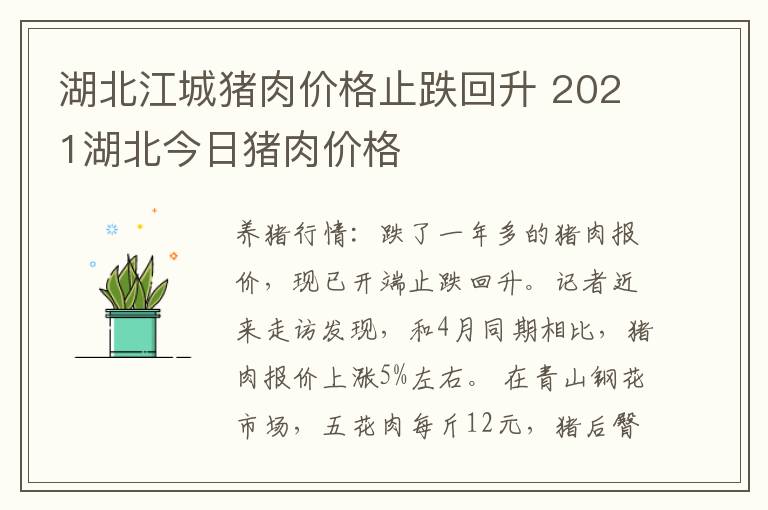 湖北江城猪肉价格止跌回升 2021湖北今日猪肉价格