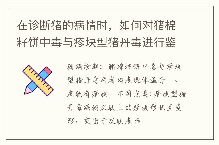 在诊断猪的病情时，如何对猪棉籽饼中毒与疹块型猪丹毒进行鉴别？