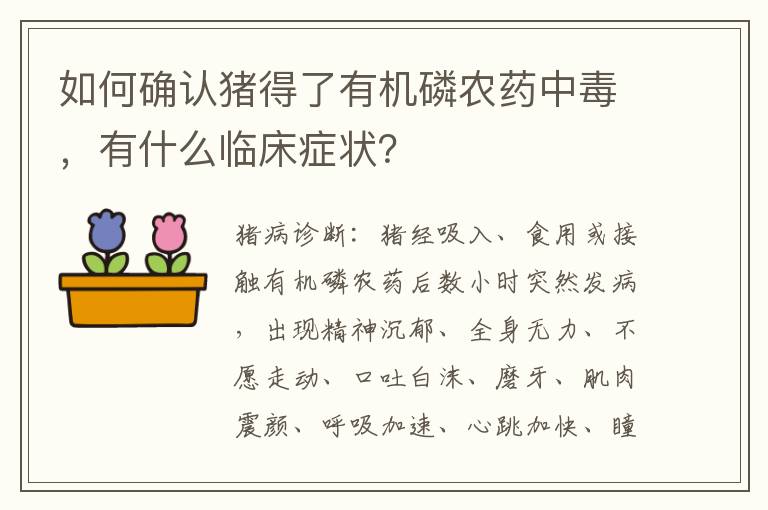 如何确认猪得了有机磷农药中毒，有什么临床症状？