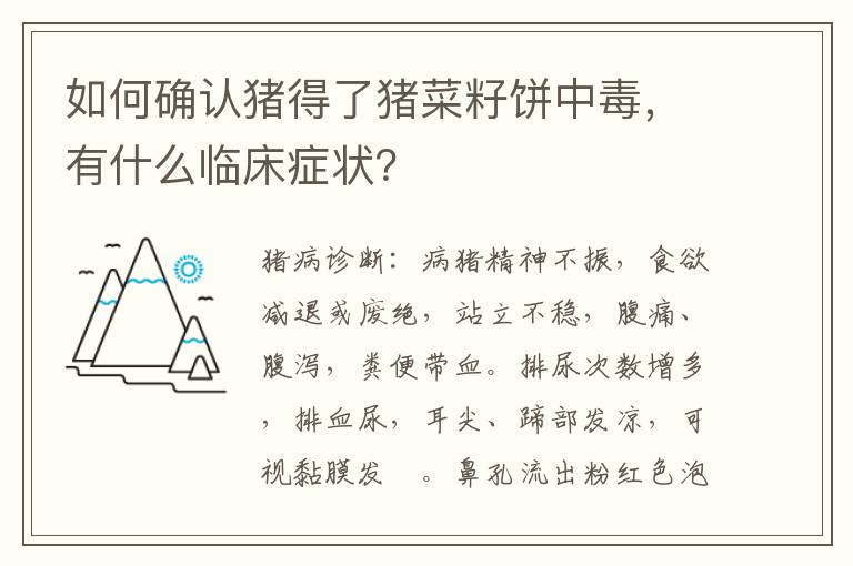 如何确认猪得了猪菜籽饼中毒，有什么临床症状？