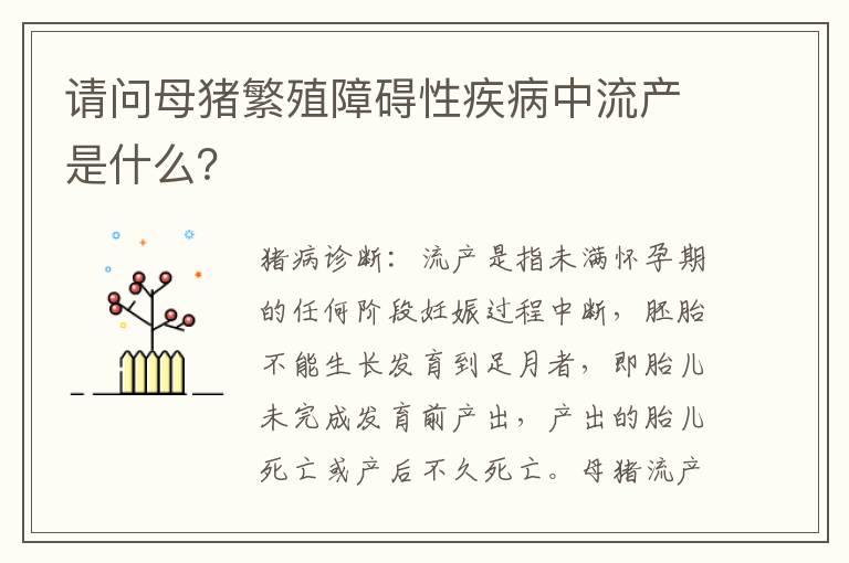 请问母猪繁殖障碍性疾病中流产是什么？