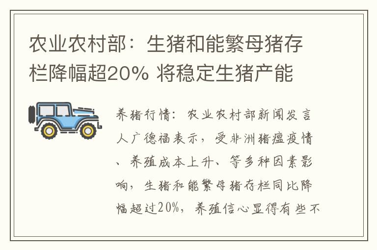 农业农村部：生猪和能繁母猪存栏降幅超20% 将稳定生猪产能