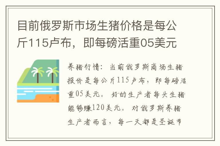 目前俄罗斯市场生猪价格是每公斤115卢布，即每磅活重05美元