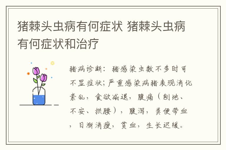 猪棘头虫病有何症状 猪棘头虫病有何症状和治疗