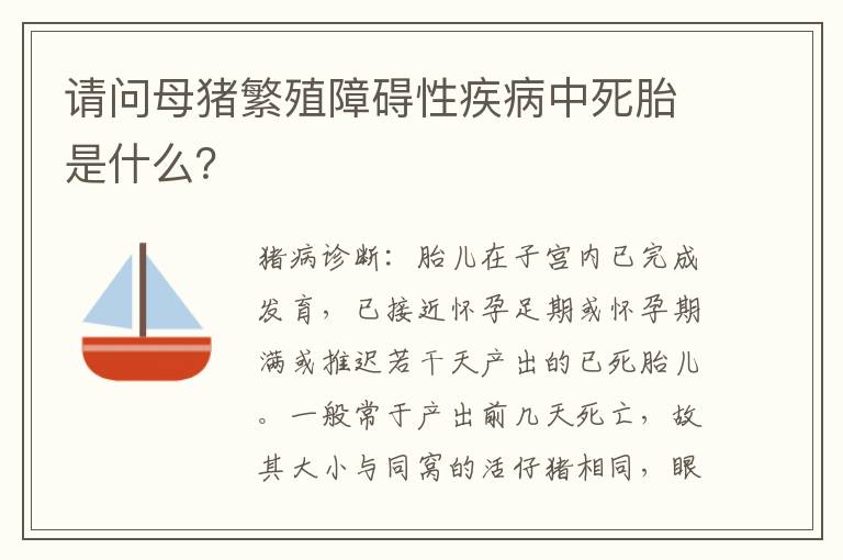 请问母猪繁殖障碍性疾病中死胎是什么？