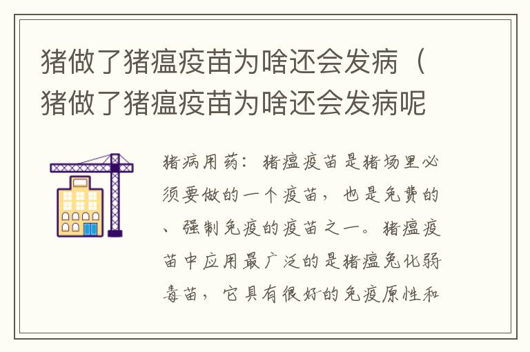 猪做了猪瘟疫苗为啥还会发病（猪做了猪瘟疫苗为啥还会发病呢）