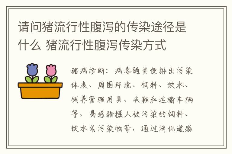 请问猪流行性腹泻的传染途径是什么 猪流行性腹泻传染方式