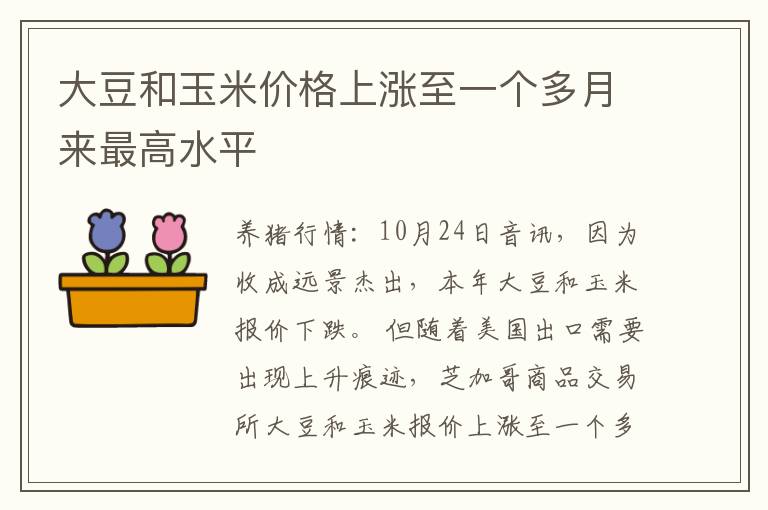 大豆和玉米价格上涨至一个多月来最高水平