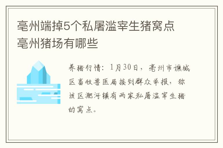 亳州端掉5个私屠滥宰生猪窝点 亳州猪场有哪些