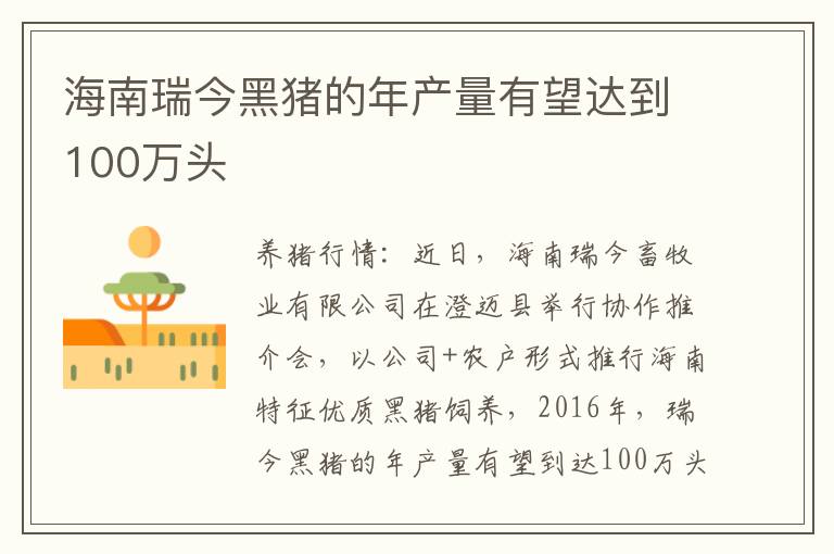 海南瑞今黑猪的年产量有望达到100万头