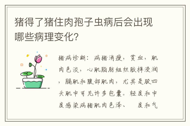 猪得了猪住肉孢子虫病后会出现哪些病理变化？