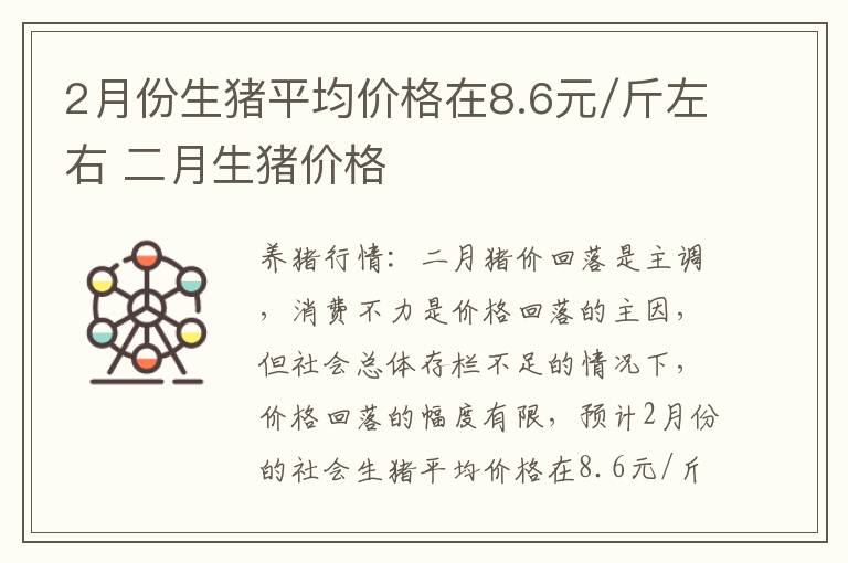 2月份生猪平均价格在8.6元/斤左右 二月生猪价格