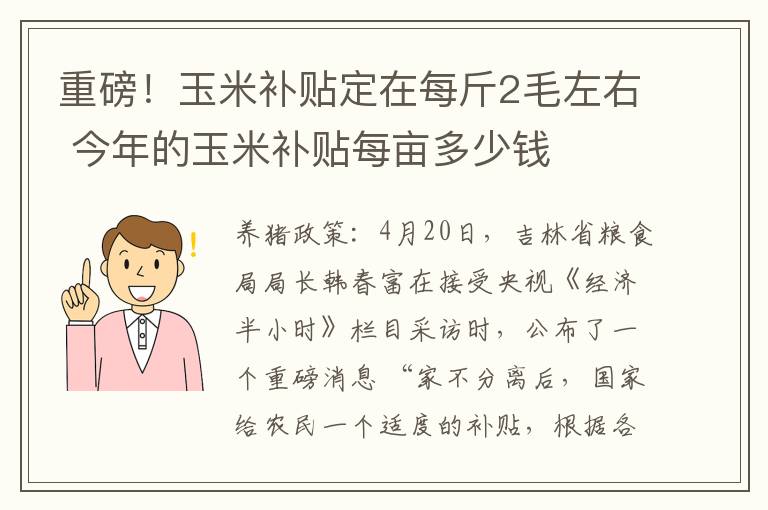 重磅！玉米补贴定在每斤2毛左右 今年的玉米补贴每亩多少钱