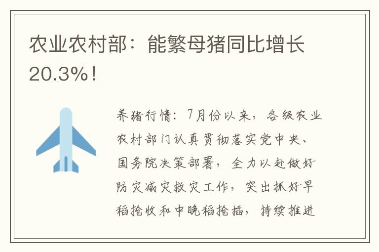 农业农村部：能繁母猪同比增长20.3%！