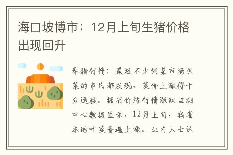 海口坡博市：12月上旬生猪价格出现回升