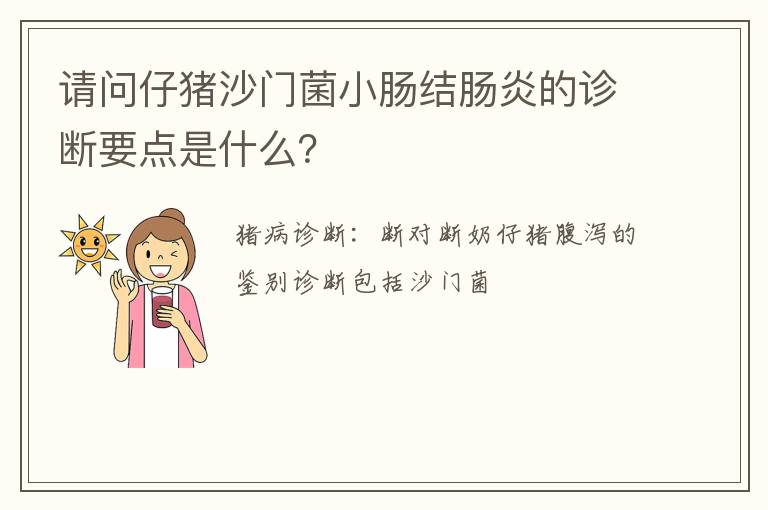 请问仔猪沙门菌小肠结肠炎的诊断要点是什么？