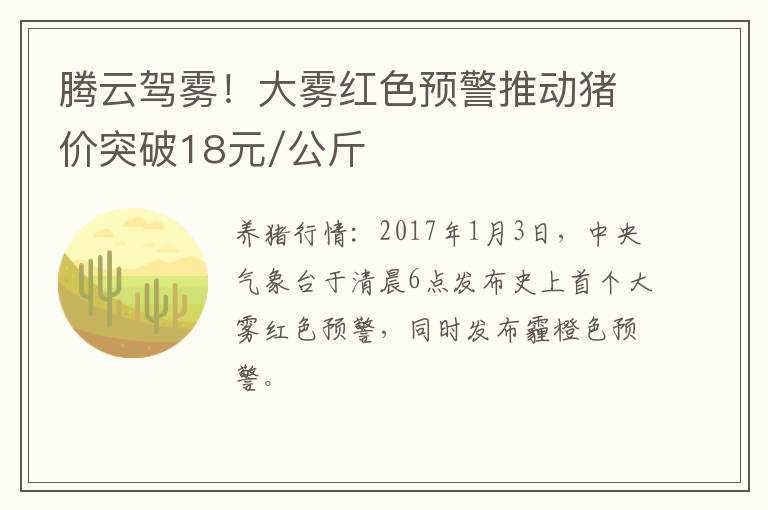 腾云驾雾！大雾红色预警推动猪价突破18元/公斤