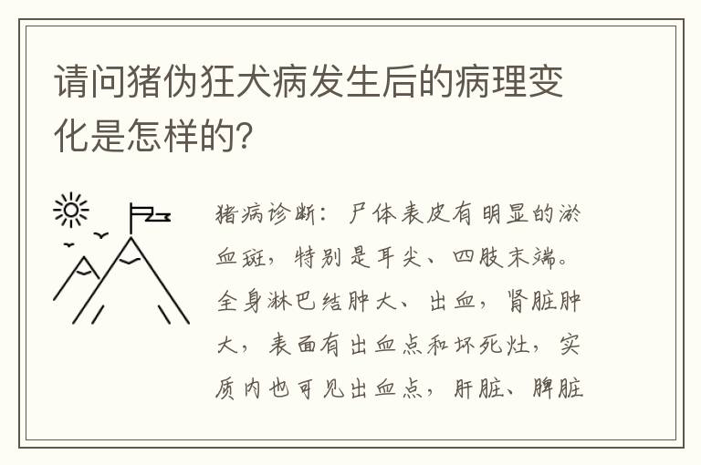 请问猪伪狂犬病发生后的病理变化是怎样的？