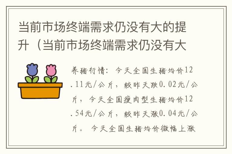 当前市场终端需求仍没有大的提升（当前市场终端需求仍没有大的提升怎么办）