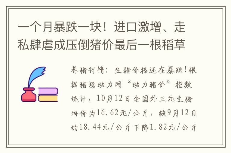 一个月暴跌一块！进口激增、走私肆虐成压倒猪价最后一根稻草