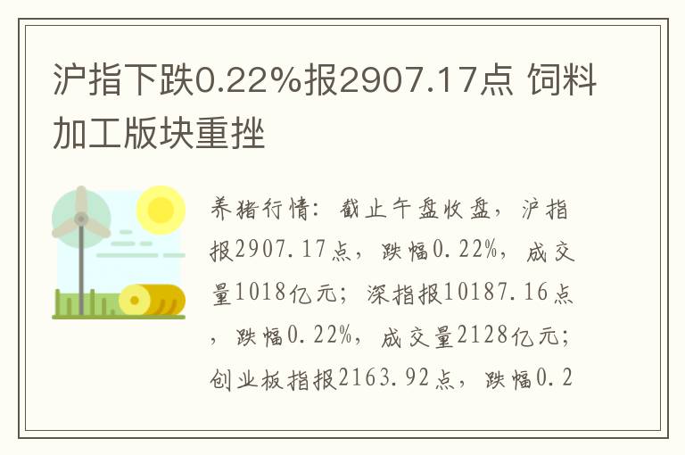 沪指下跌0.22%报2907.17点 饲料加工版块重挫