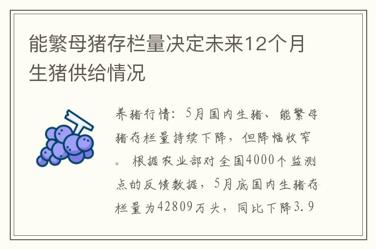 能繁母猪存栏量决定未来12个月生猪供给情况