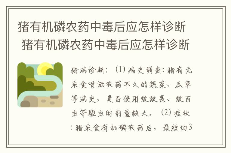 猪有机磷农药中毒后应怎样诊断 猪有机磷农药中毒后应怎样诊断