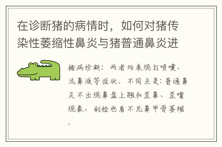 在诊断猪的病情时，如何对猪传染性萎缩性鼻炎与猪普通鼻炎进行鉴