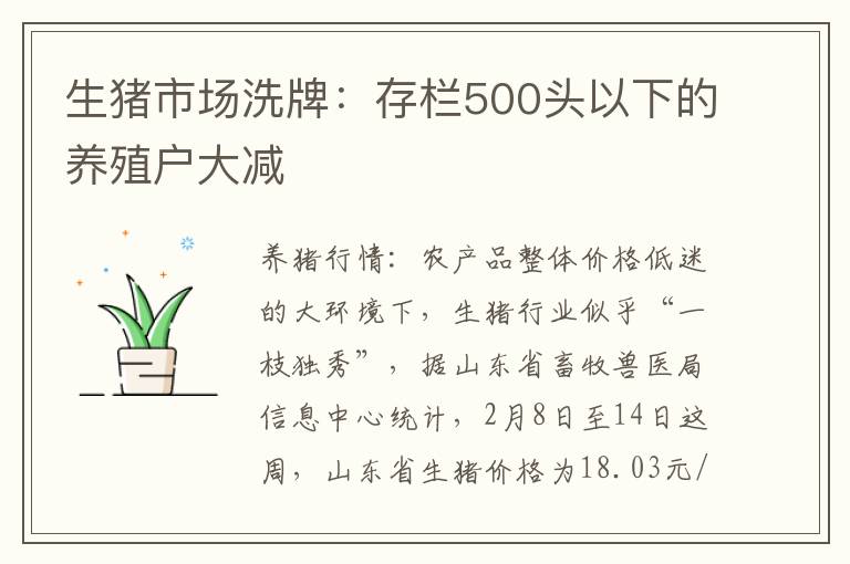 生猪市场洗牌：存栏500头以下的养殖户大减