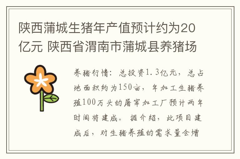 陕西蒲城生猪年产值预计约为20亿元 陕西省渭南市蒲城县养猪场