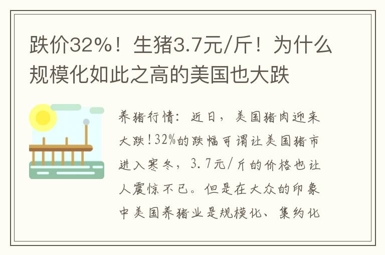 跌价32%！生猪3.7元/斤！为什么规模化如此之高的美国也大跌