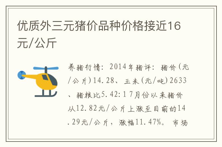 优质外三元猪价品种价格接近16元/公斤