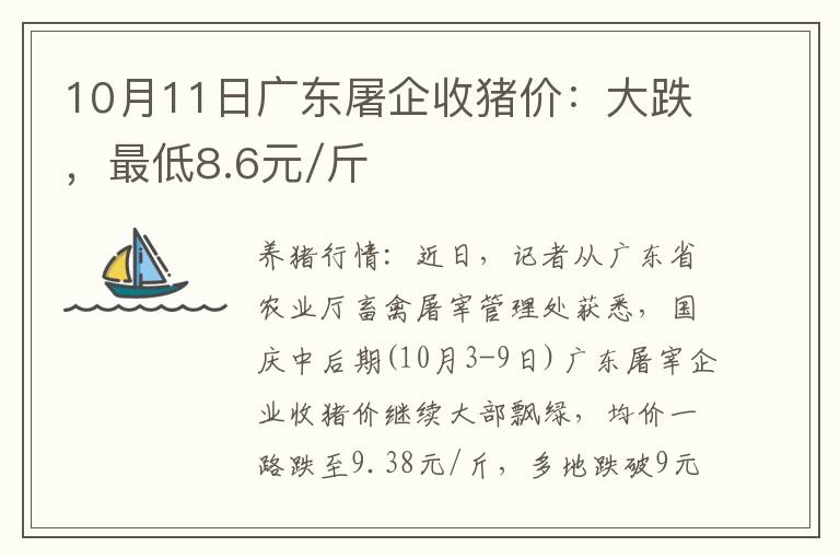 10月11日广东屠企收猪价：大跌，最低8.6元/斤