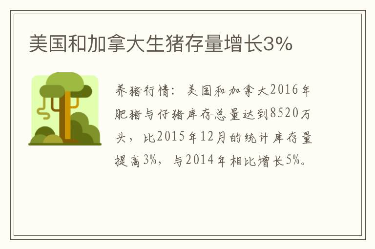 美国和加拿大生猪存量增长3%