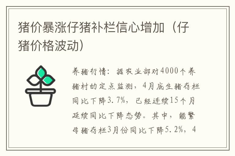 猪价暴涨仔猪补栏信心增加（仔猪价格波动）