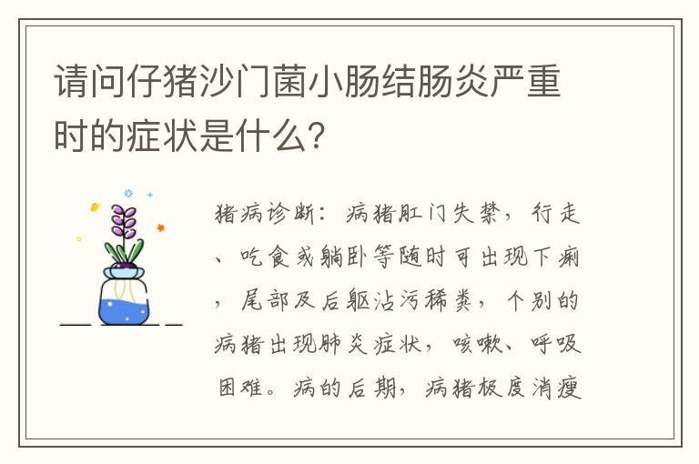 请问仔猪沙门菌小肠结肠炎严重时的症状是什么？