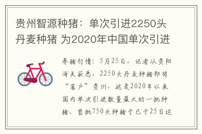 贵州智源种猪：单次引进2250头丹麦种猪 为2020年中国单次引进种