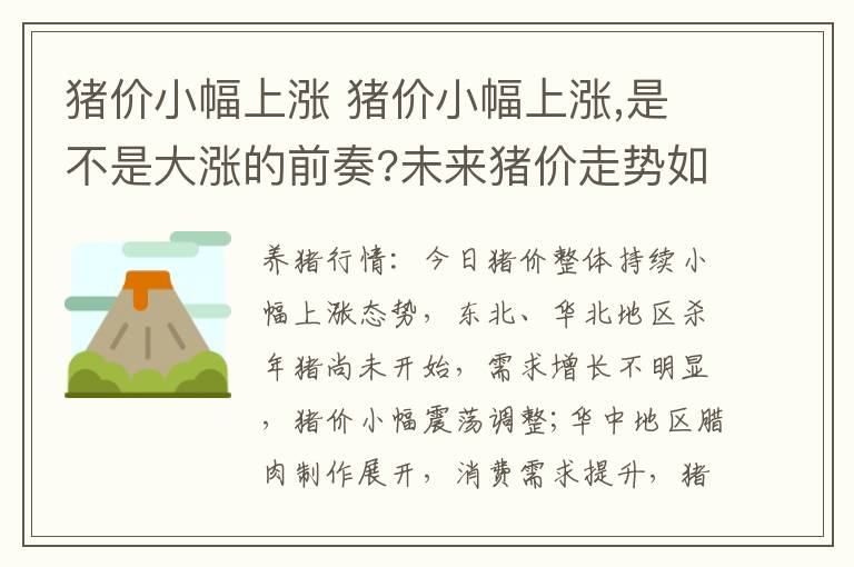 猪价小幅上涨 猪价小幅上涨,是不是大涨的前奏?未来猪价走势如何?